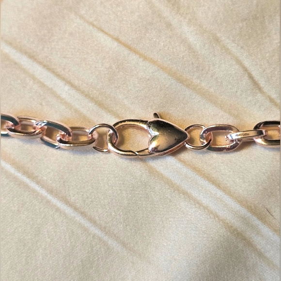 By Alexa Ray NWOT Metallic Coconut Necklace - Picture 7 of 9